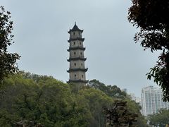-江心屿景区