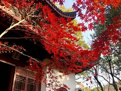 -虎跑公园