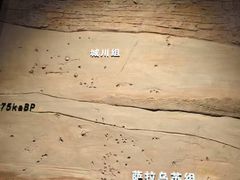 -鄂尔多斯博物馆
