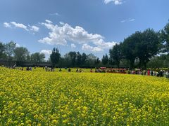 -长白岛森林公园