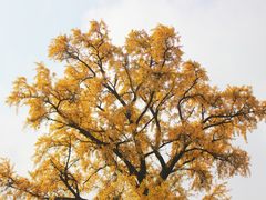 -金堂县云顶石城风景区