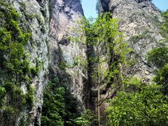 -雁荡山风景名胜区
