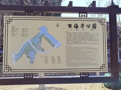 -西海子公园