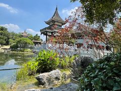 -顺峰山公园