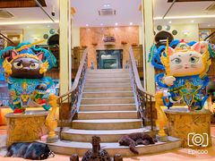 -more than meow吴止猫主题餐厅(承德 中船汇店)