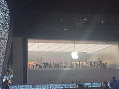 -Apple零售店(天环广场店)