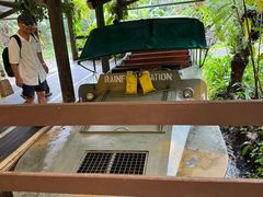 -热带雨林自然公园