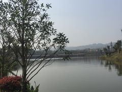 -枫香湖儿童公园