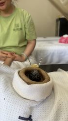 点击看大图 -佳医堂·小儿推拿·产后康复·脊柱养护(果园店)