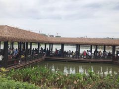 -枫香湖儿童公园