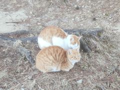 -新安江山水画廊风景区