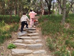 -西安汉城湖景区