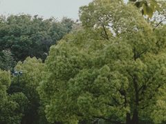 -乌镇景区