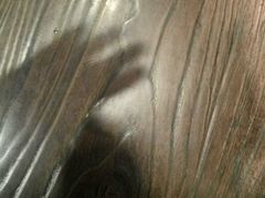 -怀托摩萤火虫洞