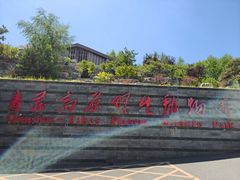 -青藏高原野生动物园