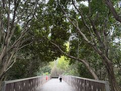-南翔镇银翔湖公园