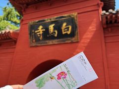-洛阳白马寺