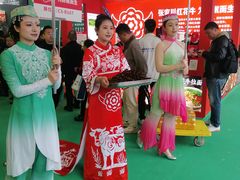 -武汉客厅中国文化博览中心