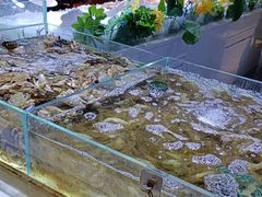 -聚盛源蒸汽海鲜火锅烤肉自助(巨川金海岸购物广场店)