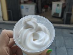 -洪馨椰子