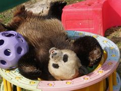 -栾川竹海野生动物园