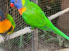 -大连森林动物园