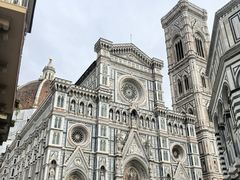 -圣母百花大教堂穹顶