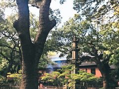 -普陀山风景名胜区-法雨禅寺