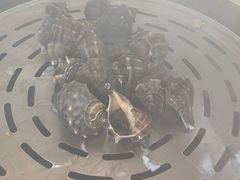 -雅逸居海鲜小厨