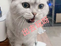 -小狗面馆·杭帮拌川·片儿川(大沽路店)