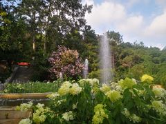 -燕塞湖鸟语林景区