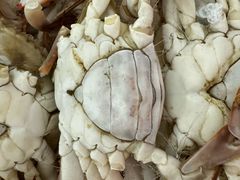 -花巷·韩式烤肉(莱州店)