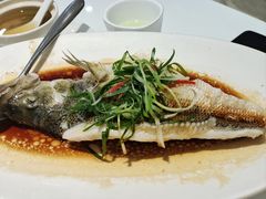 -至潮餐厅精致粤菜·活鲈鱼·走地鸡(珠江新城店)