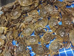 -半岛听涛蒸汽海鲜自助(K11店)