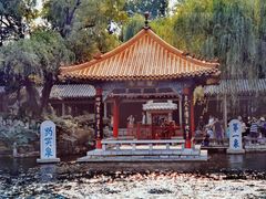 -趵突泉景区