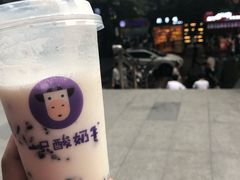 -一只酸奶牛(八一路店)