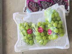 -马陆小张葡萄园农家乐