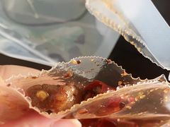 -鑫记婆婆兔·兔头(春熙店)