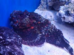 -多彩贵州城极地海洋世界