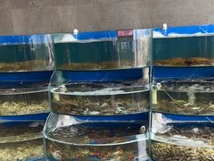 -蓝珊甄选海鲜自助·火锅大排档(近阿那亚店)