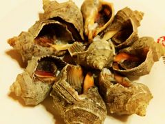 海螺-鼎香缘海鲜自助火锅烤肉(锦辉购物广场店)