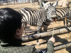 -大连森林动物园