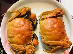 大闸蟹-黄记大闸蟹专卖店·活蟹·醉蟹