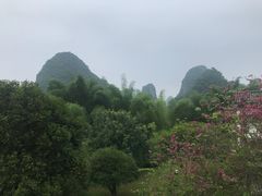 -广悦华阳朔河畔度假酒店(十里画廊遇龙河店)