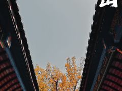 -丰都鬼城名山景区