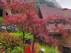 -古尔沟华美达温泉度假酒店