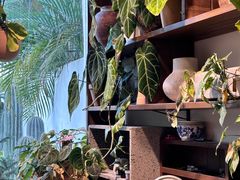 -自由生长植物工作室(深港花卉中心店)