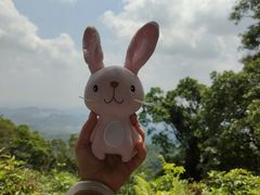 -广州市帽峰山景区