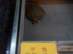 android_upload_pic-万宝海鲜舫(劳动公园店)
