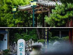 -趵突泉景区